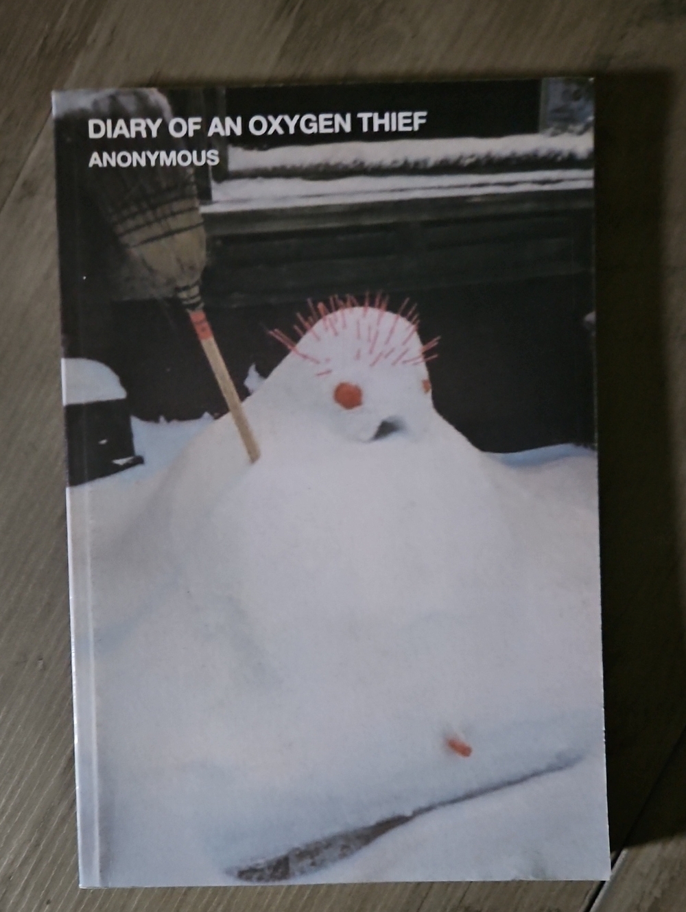 Diary of an Oxygen Thief - Snowman Cover (White)